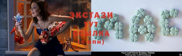 стаф Гусь-Хрустальный
