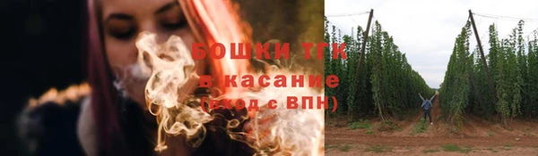 спиды Гусев