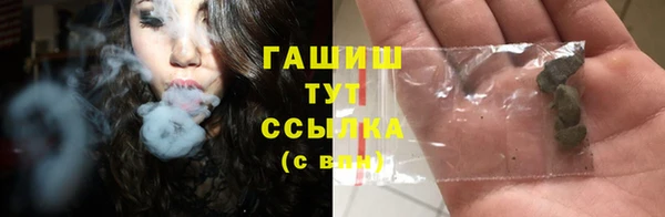 стаф Гусь-Хрустальный