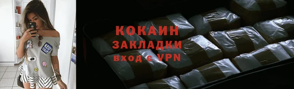 спиды Гусев