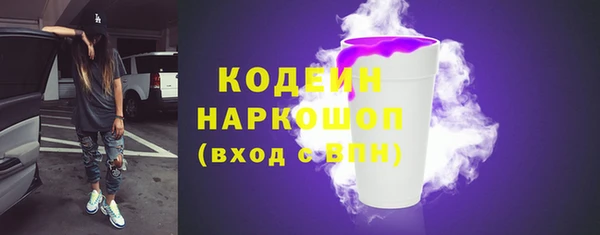 спиды Гусев