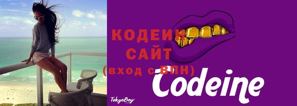 спиды Гусев
