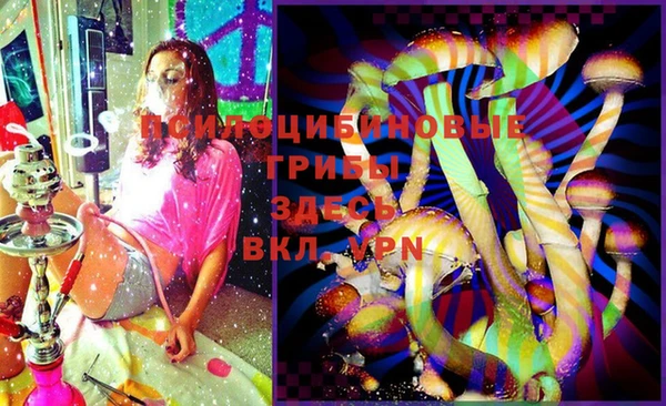 COCAINE Гусиноозёрск
