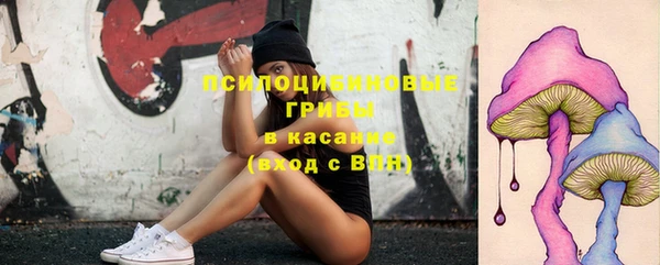 прущие грибы Горнозаводск
