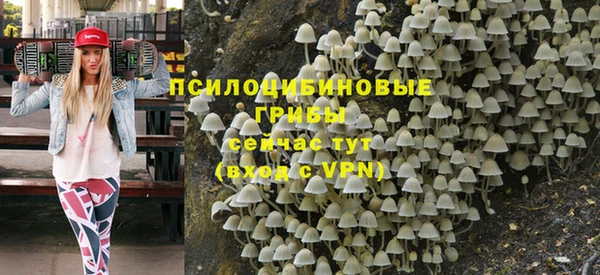 стаф Гусь-Хрустальный