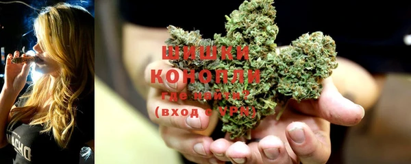 спиды Гусев