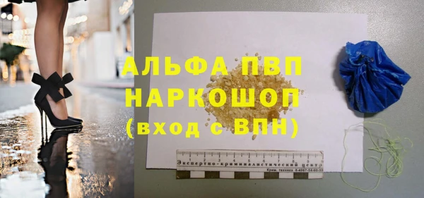 спиды Гусев